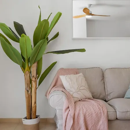 Vivi Homes - Serenity *